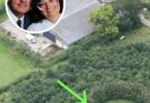 Husband Plants 6,000 Trees To Honor Deceased Wife, 15 Years Later Photos Reveal His True Motive